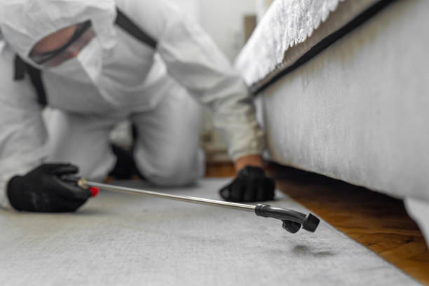 Professional Termite Control technician working in Louisville, CO
